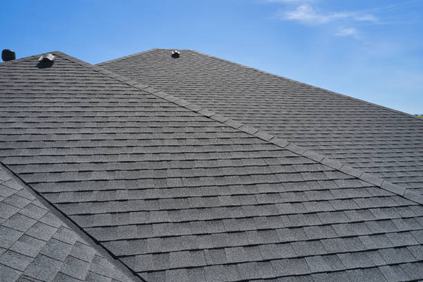 Best Roof Moss and Algae Removal  in Auburn, GA